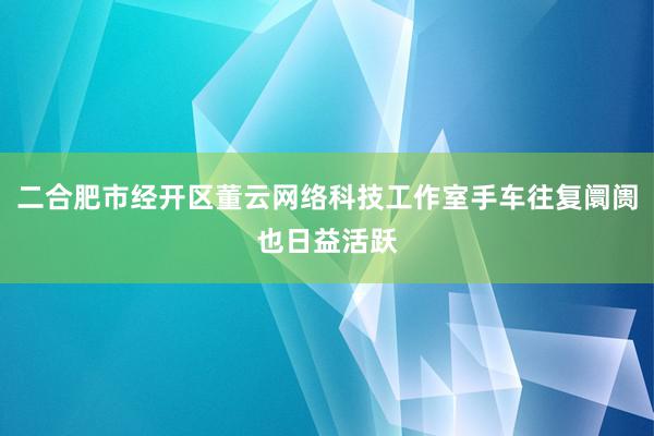二合肥市经开区董云网络科技工作室手车往复阛阓也日益活跃