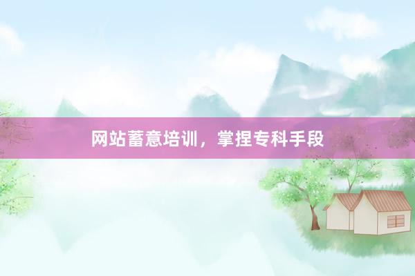 网站蓄意培训，掌捏专科手段
