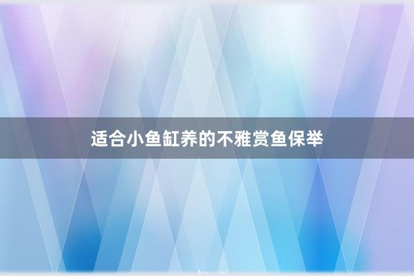 适合小鱼缸养的不雅赏鱼保举