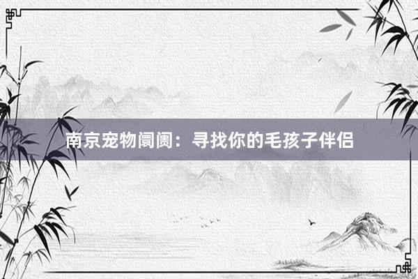 南京宠物阛阓：寻找你的毛孩子伴侣