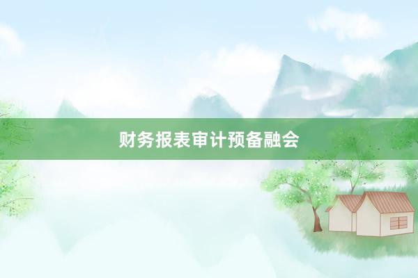 财务报表审计预备融会